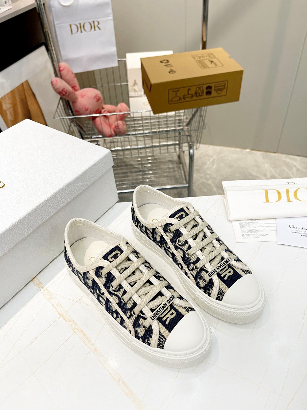 Dior sneakers