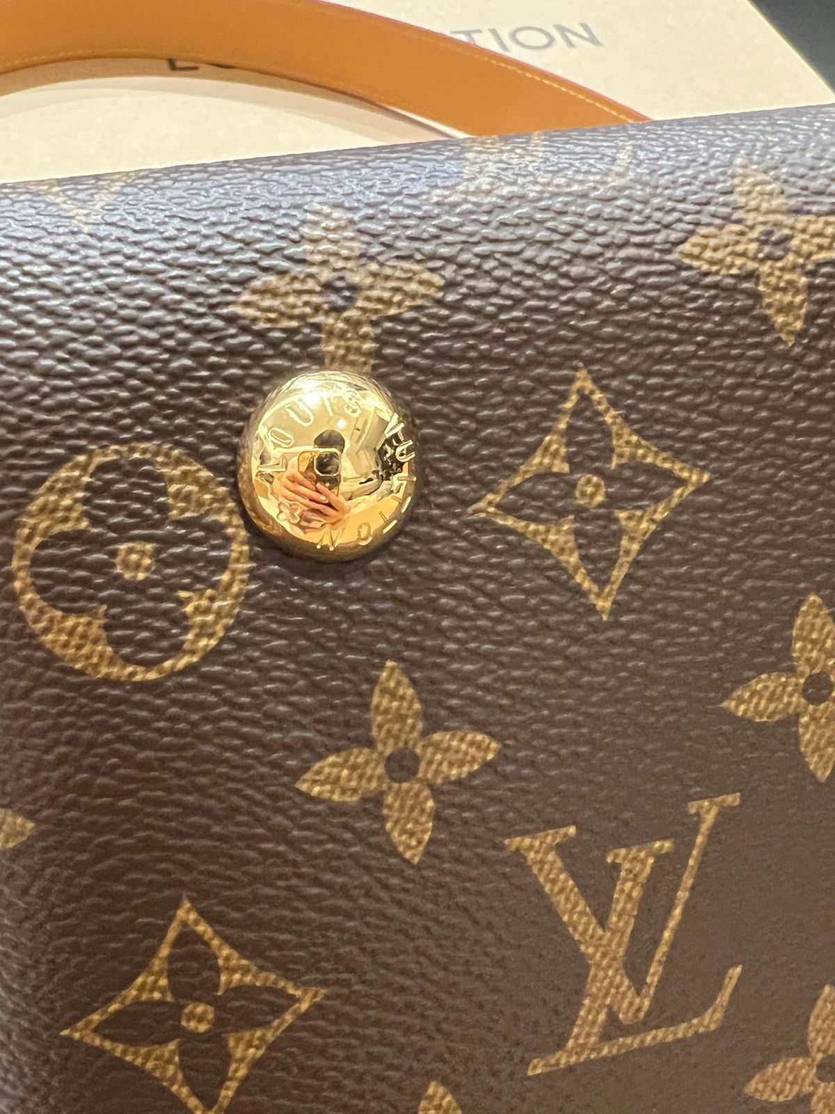 LV Carryall